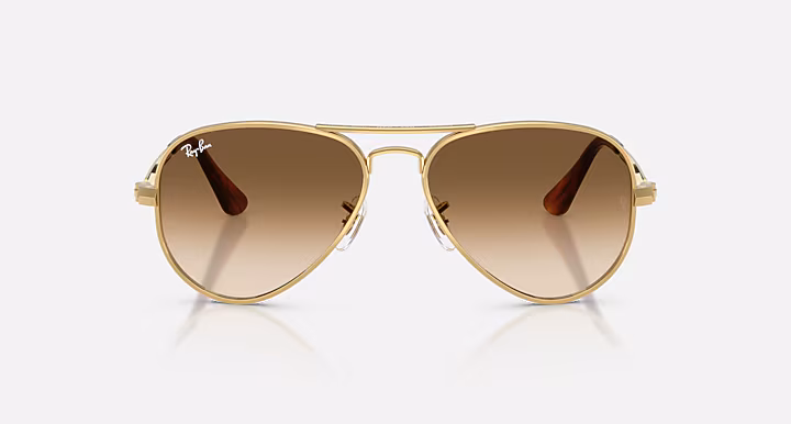 Aviator Max Sunglasses